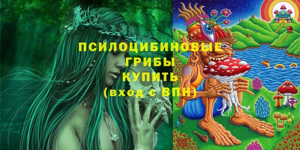 ешки Алзамай